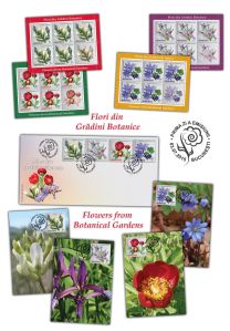 Flori-din-Gradini-Botanice_Flowers-from-Botanical-Gardens